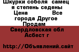Шкурки соболя (самец) 1-я степень седены › Цена ­ 12 000 - Все города Другое » Продам   . Свердловская обл.,Асбест г.